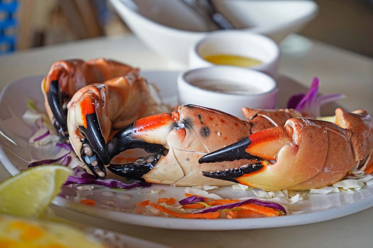 Local stone crab claws